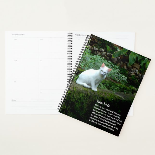 White Cat Calendar Planner (Display)