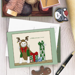 White Cat Christmas Jolly Funny Holiday Postcard