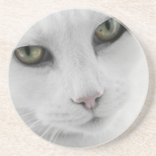 White Cat Coaster