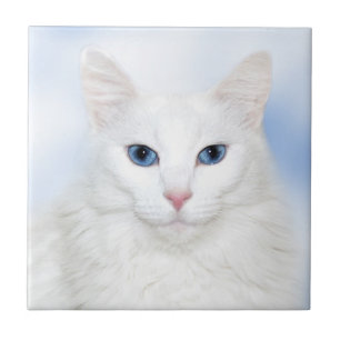 White cat face tile