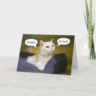 White Cat Funny Birthday Card