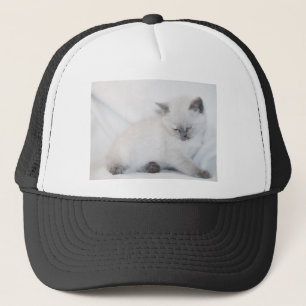 White cat grooming itself trucker hat