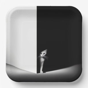 White Cat In Black Shadows Paper Plate