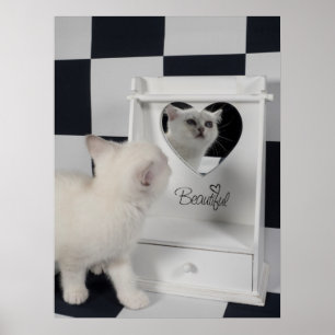 White cat in front of the mirror poster