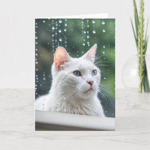 White Cat In Rainy Window Get Well Soon Card
