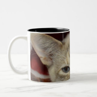 White Cat in Red Christmas Hat Coffee Mug