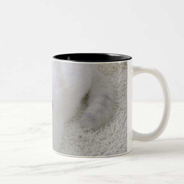 White cat looking up Two-Tone coffee mug (Right)