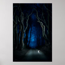 White Cat on Canopy Road at Night Poster Art Print