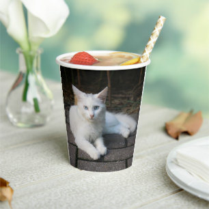 White Cat Paper Cups