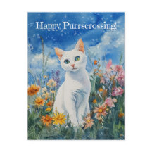 White Cat Postcrossing - Postcard