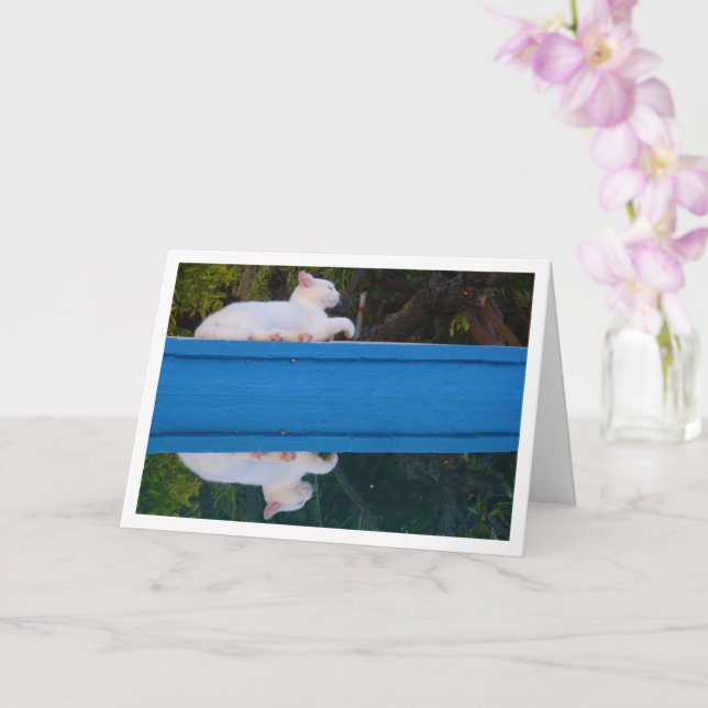 White Cat Reflection Card (Orchid)