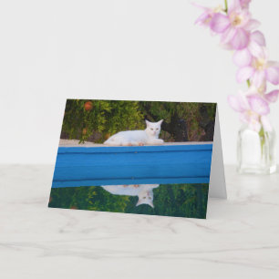 White Cat Reflection Card