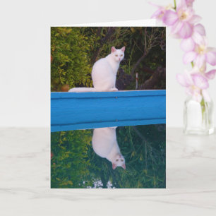 White Cat Reflection Portrait Card