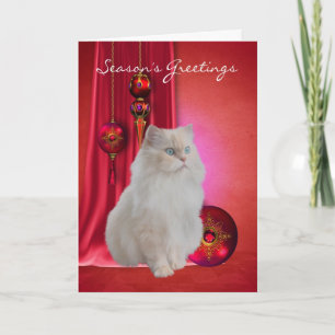 white cat season's greeting card with ornaments