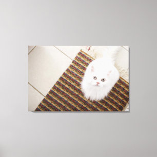White cat sitting on mat canvas print