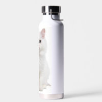 White Cat Water Bottle 