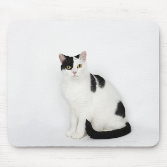 White cat with black spots mouse pad (Front)