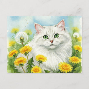 White Cat with Dandelions Postcard
