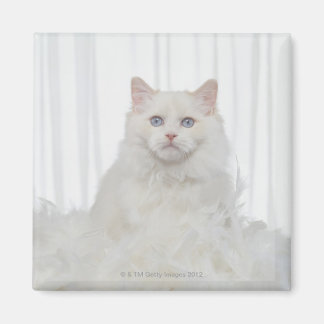 White Cat with Feathers Magnet