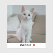 White cat | Zazzle_Growshop.