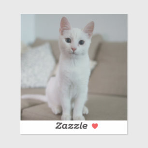 White cat Zazzle_Growshop.