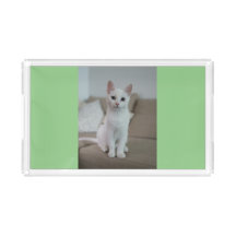 White cat | Zazzle_Growshop.