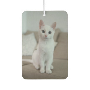 White cat   Zazzle_Growshop. Car Air Freshener