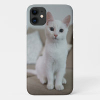 White cat | Zazzle_Growshop.