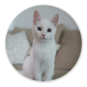 White cat   Zazzle_Growshop. Ceramic Knob