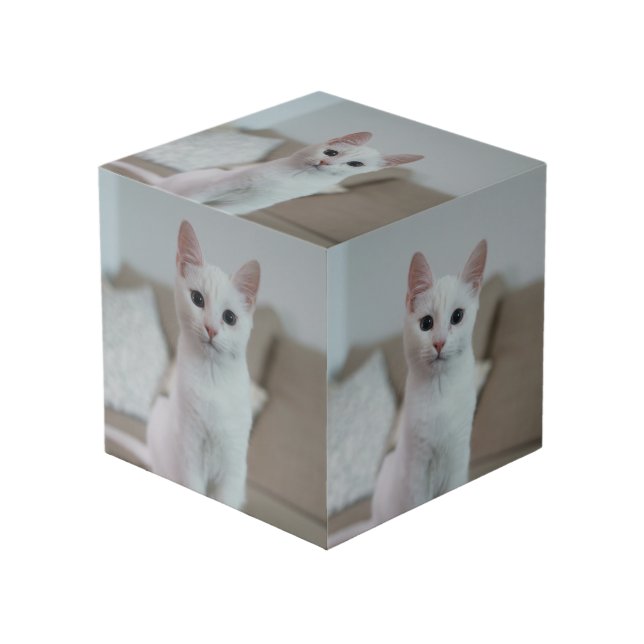 White cat | Zazzle_Growshop. Cube (Front Angled)