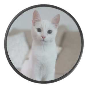 White cat   Zazzle_Growshop. Hockey Puck