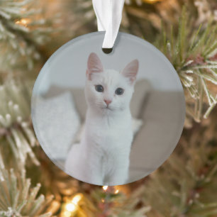 White cat   Zazzle_Growshop. Ornament