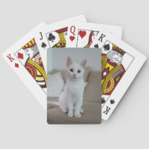 White cat | Zazzle_Growshop.