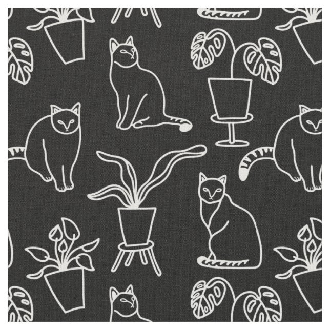 White cats on black fabric (Close Up)
