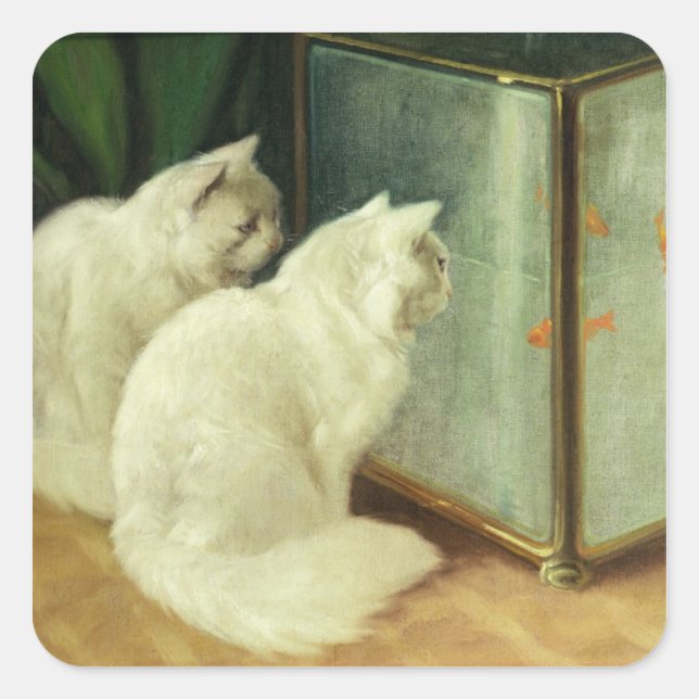 White Cats Watching Goldfish Square Sticker (Front)