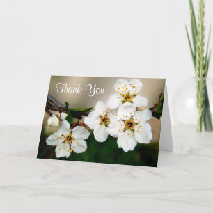 White Cherry Blossom Flowers Thank You Card