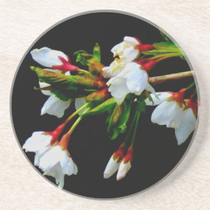 White Cherry Blossom photo Coaster