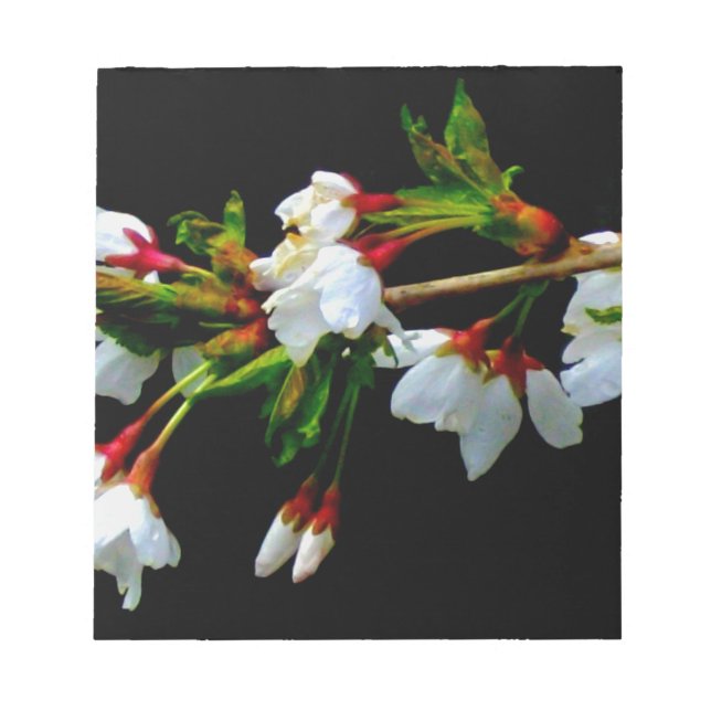 White Cherry Blossom photo Notepad (Front)