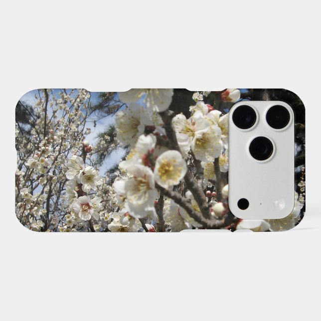 White Cherry Blossom / Sakura / サクラ（桜） (Back (Horizontal))