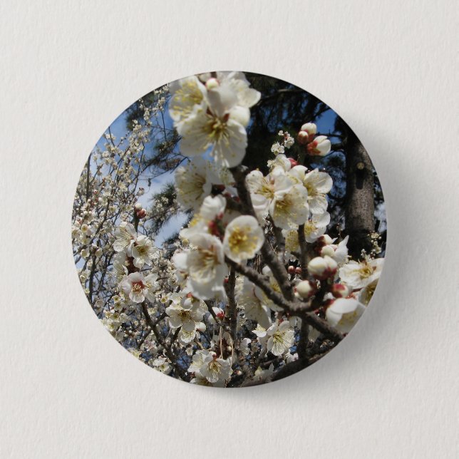 White Cherry Blossom / Sakura / サクラ（桜） 6 Cm Round Badge (Front)
