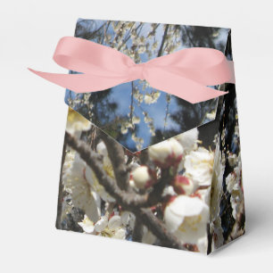 White Cherry Blossom / Sakura / サクラ（桜） Favour Box