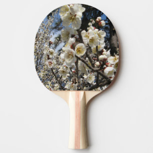 White Cherry Blossom / Sakura / サクラ(桜) Ping Pong Paddle