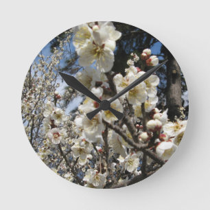 White Cherry Blossom / Sakura / サクラ（桜） Round Clock