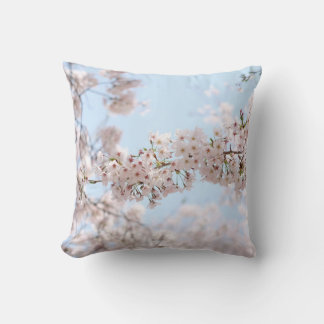 White cherry blossom under clear blue sky in the m cushion