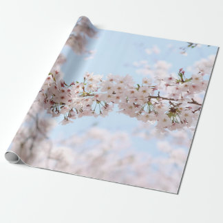 White cherry blossom under clear blue sky in the m wrapping paper