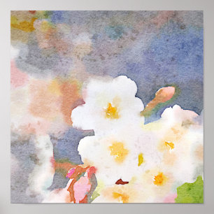 White Cherry Blossoms Digital Watercolor Painting Poster