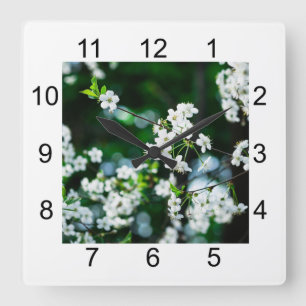 White Cherry Blossoms Green Leaves Square Wall Clock