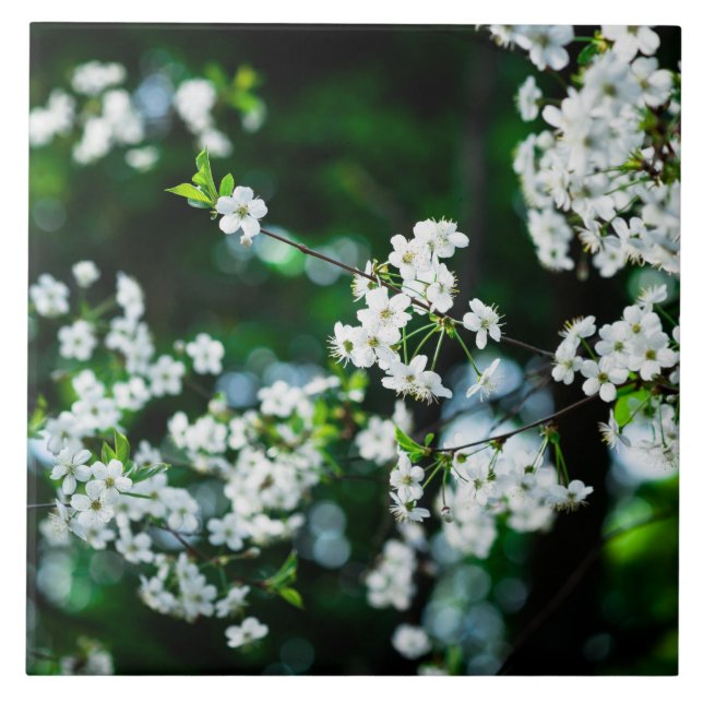 White Cherry Blossoms Green Leaves Tile (Front)