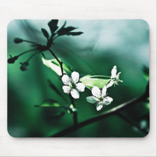 White Cherry Blossoms Mouse Pad