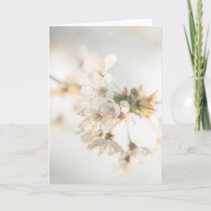 White Cherry Blossoms Nature Photo Card